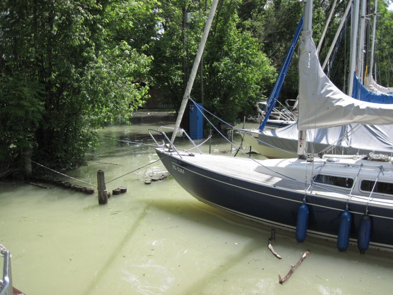 hochwasser2013-12.jpg